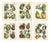 Dr. Calwer, Pears and Apples, 1854, Chromolithographs on Paper, Set of 6 For Sale