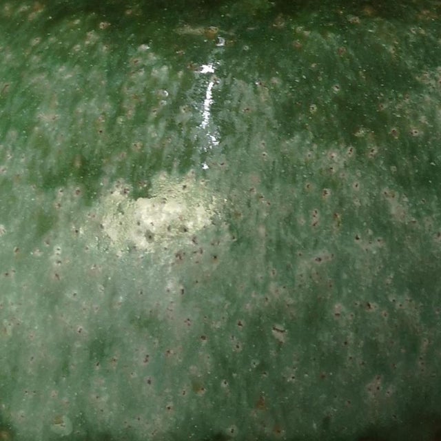 Green Ceramic Floor Lamp from Kaiser with Silk Lampshade by R. Houben, 1960s For Sale - Image 6 of 7