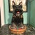 Jeffrey Banks Home David’s Cookies Scottish Terrier Scottie Cookie Jar. Adorable Scottish Terrier sitting on plaid cushion...