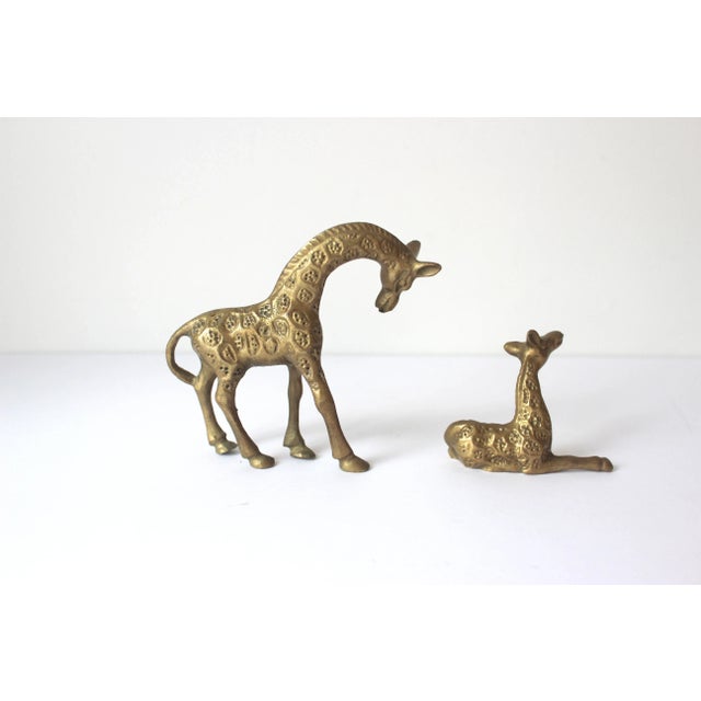 1970s Vintage Small Pair of Vintage Brass Giraffe Figurines For Sale - Image 5 of 8