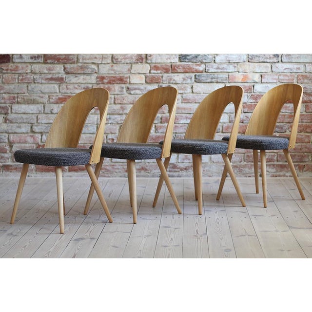 Mid-Century Modern Mid-Century Dining Chairs by A. Suman, Set of 10 For Sale - Image 3 of 17