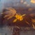 1950s 1950s Vietnamese Laquered Signed Goldfish Tea Tray For Sale - Image 5 of 6