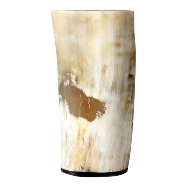 Vintage Cow Horn Vase For Sale
