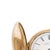 Pocket watch - American Waltham Watch Co. American 'American Waltham Watch Co.' with gold-plated metal case and 20-year...