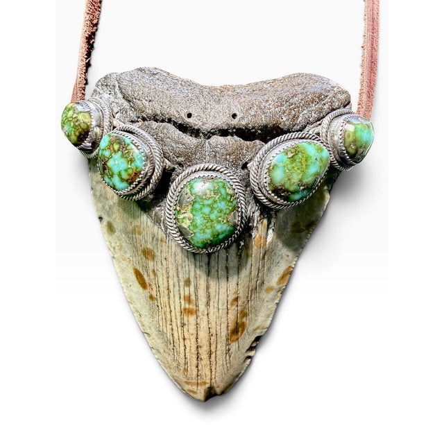 Roie Jaque Navajo Sterling Silver Turquoise Megalodon Tooth Pendant Necklace For Sale - Image 18 of 18