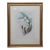 Antique John Gould Ornithological Myiabeillia Hummingbird Lithograph Print For Sale