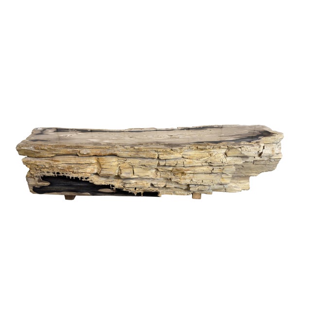 This remarkable petrified wood bench is a one-of-a-kind statement piece, shaped by millions of years of geological...