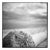 Paul Cooklin, Palm Tree, Santa Maria Beach, Havana, Cuba, Edition of 50 For Sale