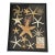 Vintage Sea Stars Collection in a Shadow Box Greeting From Florida For Sale