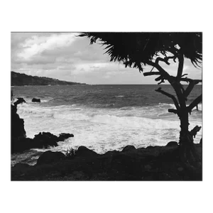 1972 Hawaii Beach Photograph by Don Ware