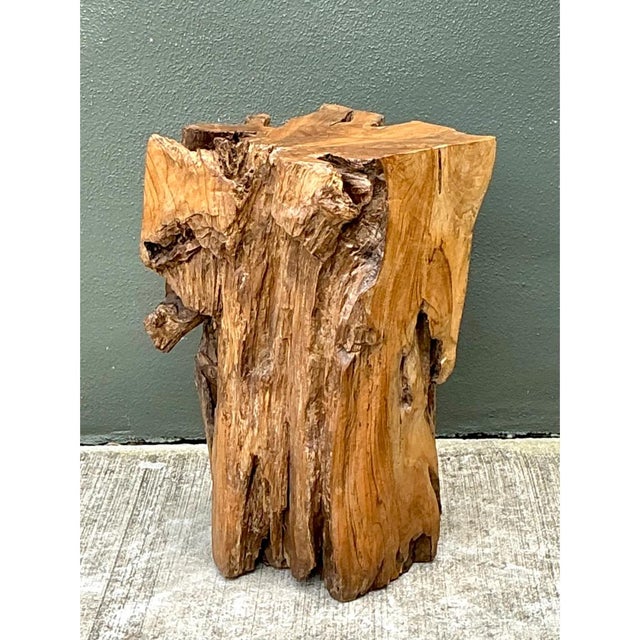 Camel Vintage Natural Wood Stump Table For Sale - Image 8 of 12