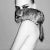 Chinchilla Glamour' Silver Gelatin Print George Mayer Exquisite, very large 40x40'' inches / 101 x 101 cm Silver Gelatin...