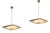 2026 Pendant Light attributed to Max Ingrand for Fontana Arte, Italy, 1960 For Sale