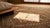 1930s Tan Camel Medallion Antique Chinese Khotan Rug 6'9" X 12'5" Handknotted Wool Carpet For Sale - Image 10 of 10