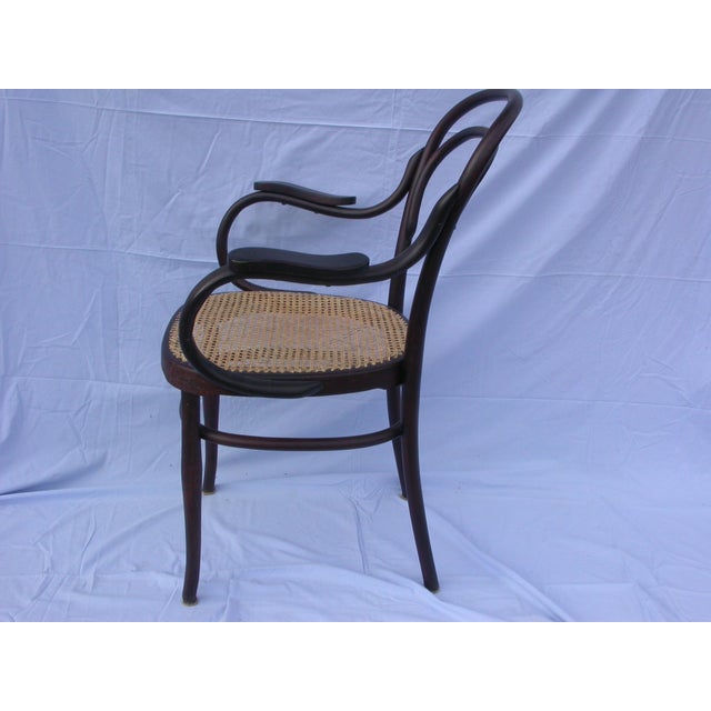 1920s Vienna Straw Chair by J & J Kohn for Jacob & Josef Kohn, 1890s For Sale - Image 5 of 11
