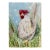 Original Watercolor Painting of “My Chicken Floppy” For Sale