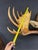 Yukon Moose Shoulder Mount With Large Palmate Antlers For Sale - Image 9 of 12