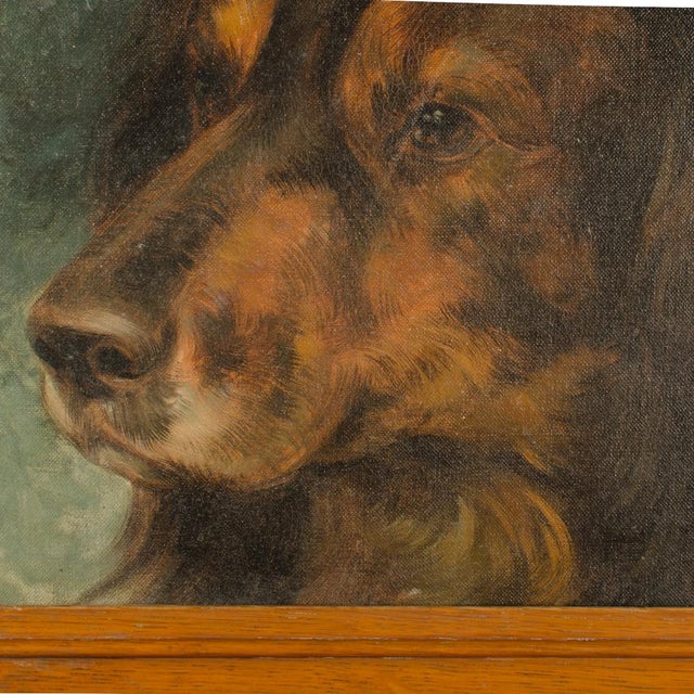 A Portrait of a Dog, Likely European, 20th C. For Sale In Philadelphia - Image 6 of 8