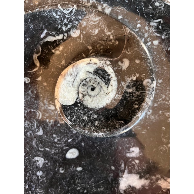 Rustic Orthoceras Fossil Round Plate With Ammonite Ring For Sale - Image 3 of 11