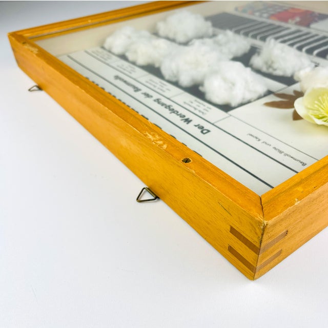 Vintage School Education Display Die Baumwolle (Cotton) by Josef Galler, Germany, 1960s For Sale - Image 6 of 14