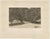 Avenue of Trees, 1890s, Paper For Sale - Image 12 of 12