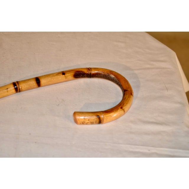 Brown Circa 1920 English Bamboo Walking Stick For Sale - Image 8 of 8