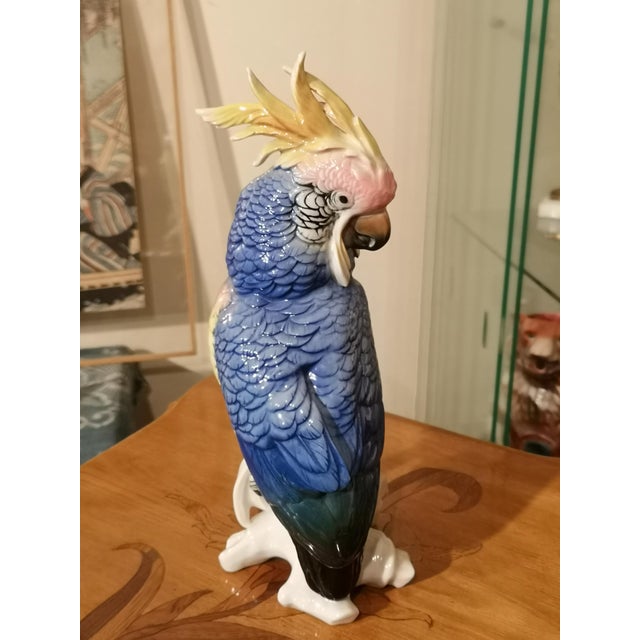 Blue Porcelain Parrot Figurine by Karl Ens, Saxe, 19th Century For Sale - Image 12 of 12