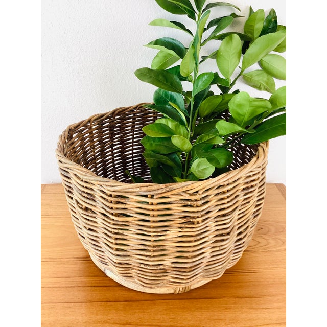 Rustic Vintage Rustic Woven Wicker / Reed Basket Planter Organizer For Sale - Image 3 of 8