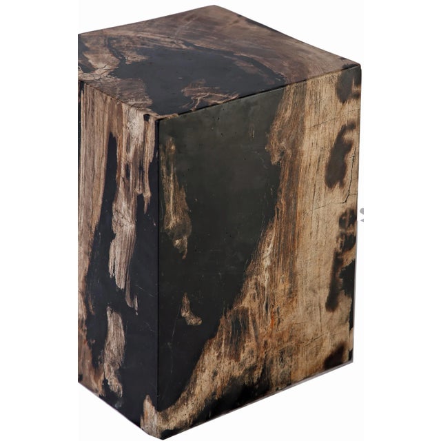 Wood Organic Modern Petrified Wood Stool Accent Table For Sale - Image 7 of 8