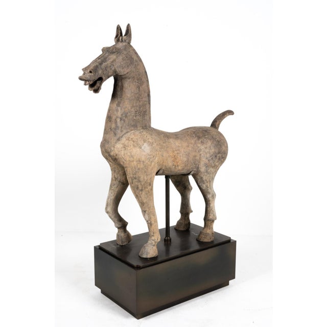 Gray Ancient Chinese Han Dynasty Monumental Mingqi Horse Terracotta Sculpture For Sale - Image 8 of 12