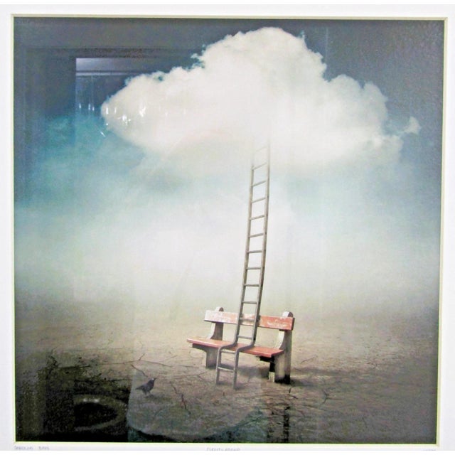 The product is a surreal digital photo manipulation photograph taken by Sarolta Ban, titled "Cloudladder No. 531". The...