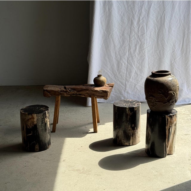 Black Side Table in Black Petrified Wood with Beige Star Pattern For Sale - Image 8 of 18