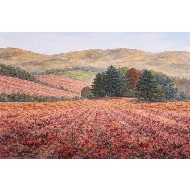 French Country Late 20th Century Signed Autumn Vineyard Landscape Watercolor by Henderson, S.W.A. — Framed For Sale - Image 3 of 7