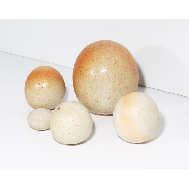 Five studio pottery eggs. Differing in size, each egg has its own unique pattern in orange and beige. They are unsigned.