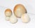 Five studio pottery eggs. Differing in size, each egg has its own unique pattern in orange and beige. They are unsigned.