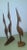 Teak Cranes, Set of 5, in Very Good conditions. Designed 1960 to 1969