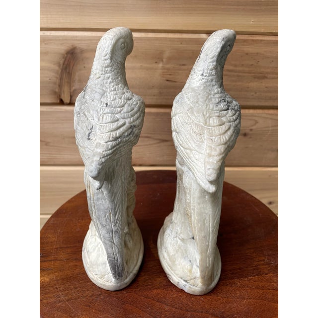 Mid 20th Century Vintage Holland Mold Cast Marble Parrots - Pair For Sale - Image 5 of 10