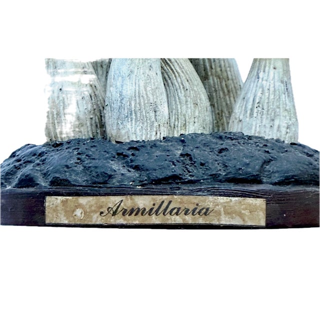 Vintage Mushroom Model Specimen Sculpture For Sale In Atlanta - Image 6 of 6