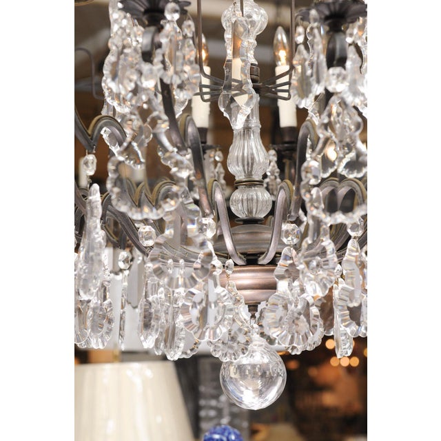 Early 20th Century XL 18-Light Crystal & Bronze Louis XV Chandelier France For Sale - Image 13 of 14
