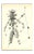 Bruno Capacci, Composition of Diodora, Original Lithograph, 1950s For Sale