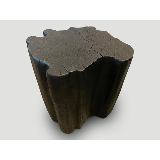 Charcoal Andrianna Shamaris Amorphous Charred Side Table For Sale - Image 8 of 18