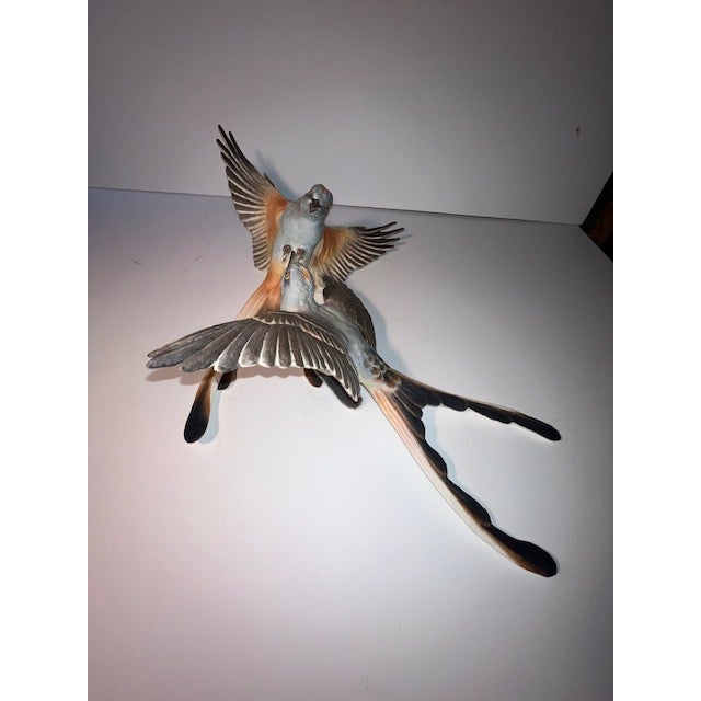 Mid 20th Century Dorothy Doughty Scissor Tailed Flycatchers - a Pair For Sale - Image 11 of 16