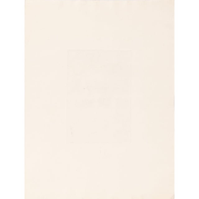 Paper Howard Norton Cook Floral Abstraction Etching For Sale - Image 7 of 8