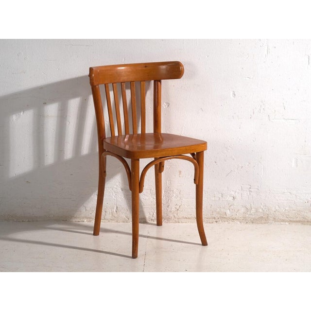 Chairs in Ligna Bentwood, Former Czechoslovakia, 1960, Set of 4 For Sale - Image 10 of 12