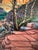 2020s Red Rock Vista Origenal Oil Painting by Steve Schaaf For Sale - Image 5 of 9