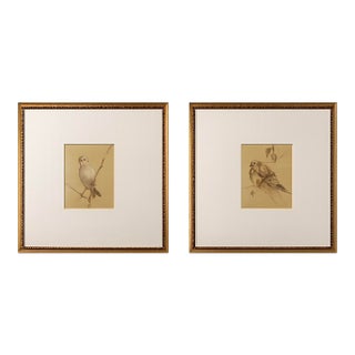 The Natural Light Gold Framed Bird Portrait Wall Art Pair For Sale