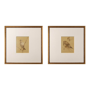 The Natural Light Gold Framed Bird Portrait Wall Art Pair