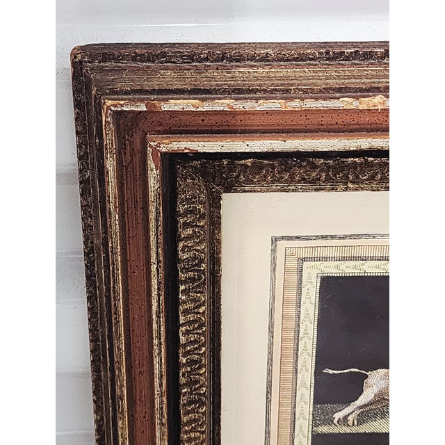 18th Century Neoclassical Engravings by Niccolo Vanni For Sale - Image 12 of 12