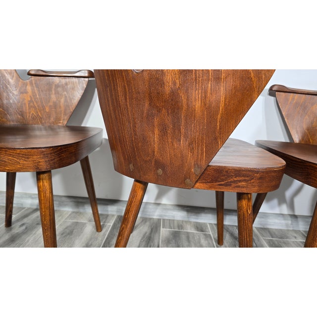 Dining Chairs by Oswald Haerdtl for Ton, 1950s, Set of 4 For Sale - Image 15 of 18