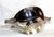 Vintage Silver-Plated Quaich by Mappin & Webb, 2000s For Sale - Image 3 of 8
